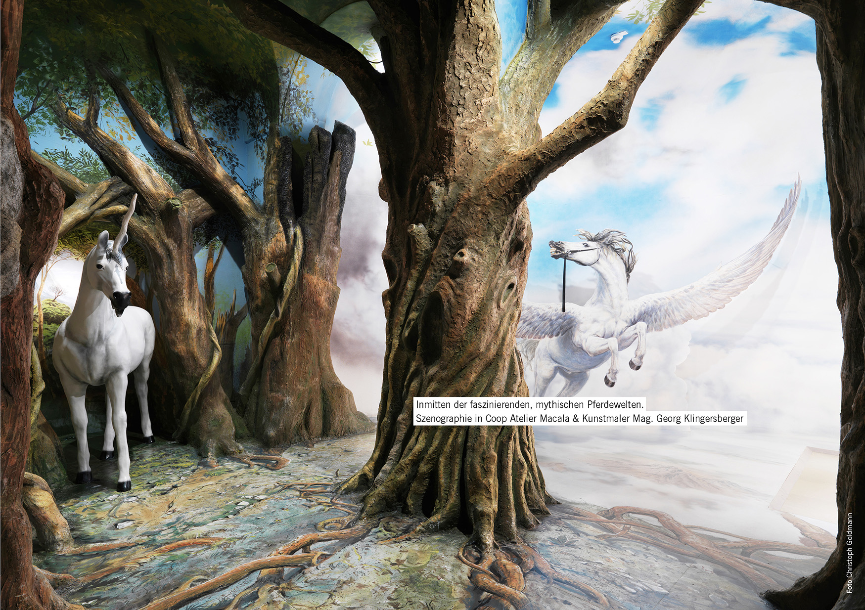 KOG_32_MENSCH UND PFERD11 jpg